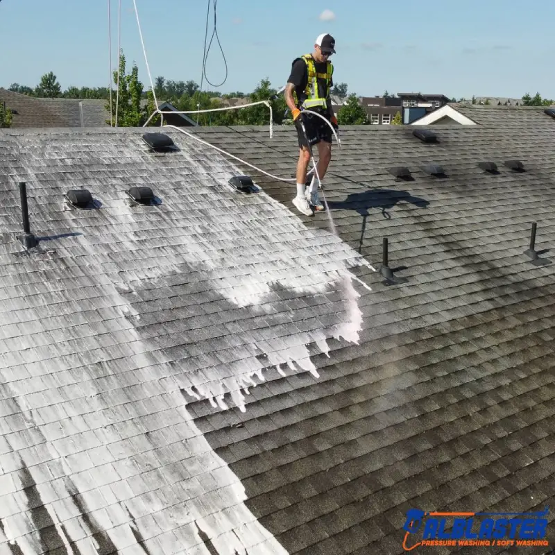 68 Ave Surrey Roof Cleaning 7