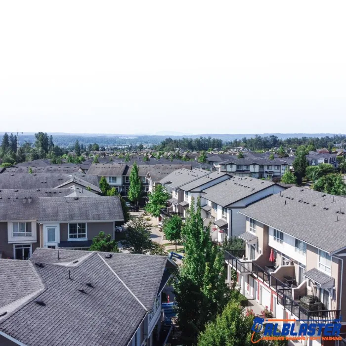 68 Ave Surrey Roof Cleaning 9