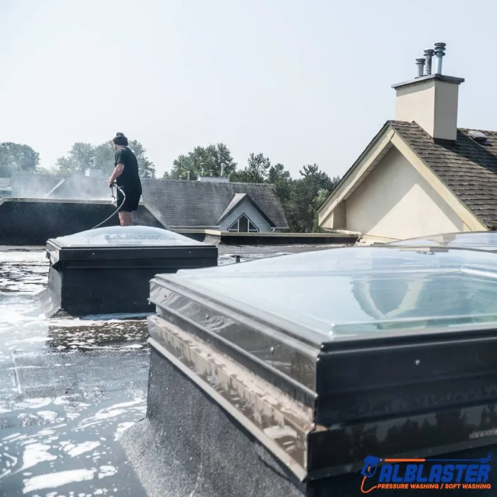 Tsawwassen Roof Cleaning 5