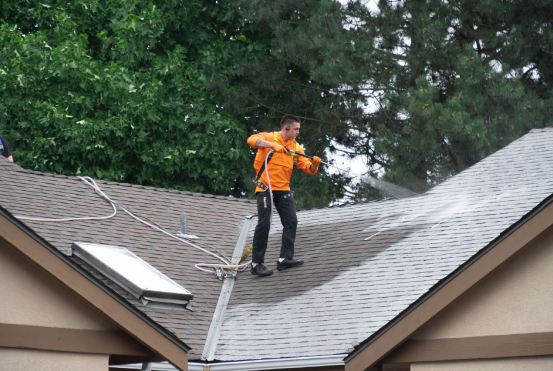 Roof Cleaning Surrey